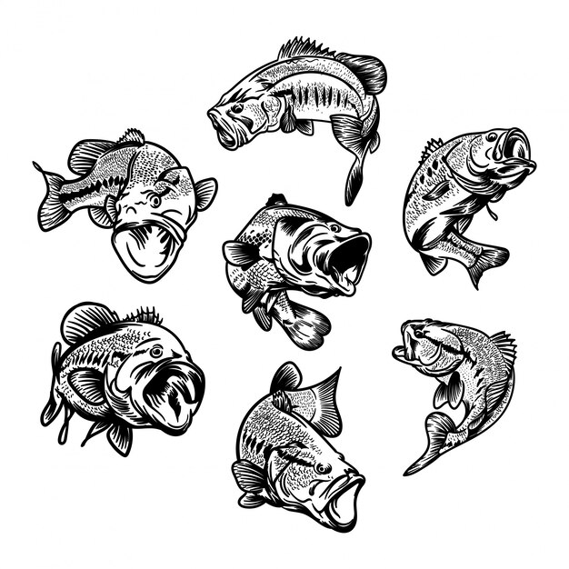 釣りロゴのための大きなバスフィッシュのイラストのセット プレミアムベクター