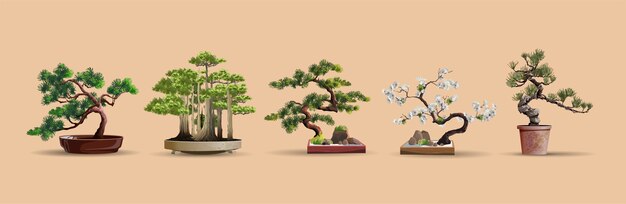 盆栽 画像 無料のベクター ストックフォト Psd