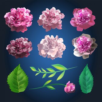 植物のバラの花のセットです バラと葉の要素の夏のコレクション 3 Dのリアルなイラスト プレミアムベクター 植物のバラの花のセットです バラと葉の要素の夏のコレクション 3 Dのリアルなイラスト プレミアムベクター