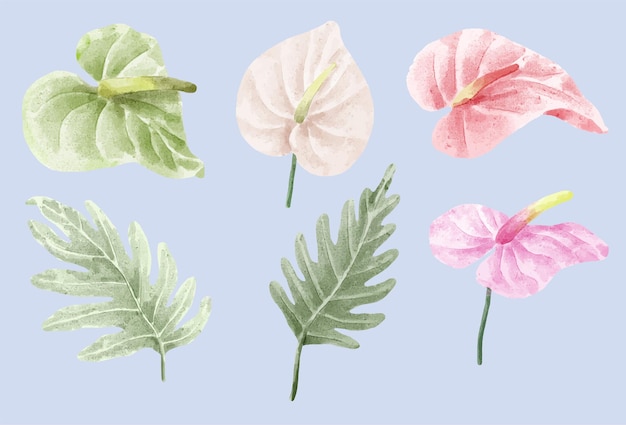 Набор ботанических растений векторные иллюстрации, акварель, изолированные на белом фоне