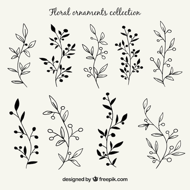 Download Free Set Of Branches With Hand Drawn Leaves Svg Dxf Eps Png Cut File Background