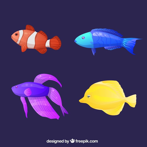 Бесплатное векторное изображение Набор красочных рыб