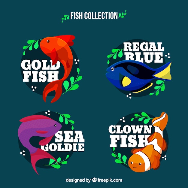 Набор красочных рыб в разных видах