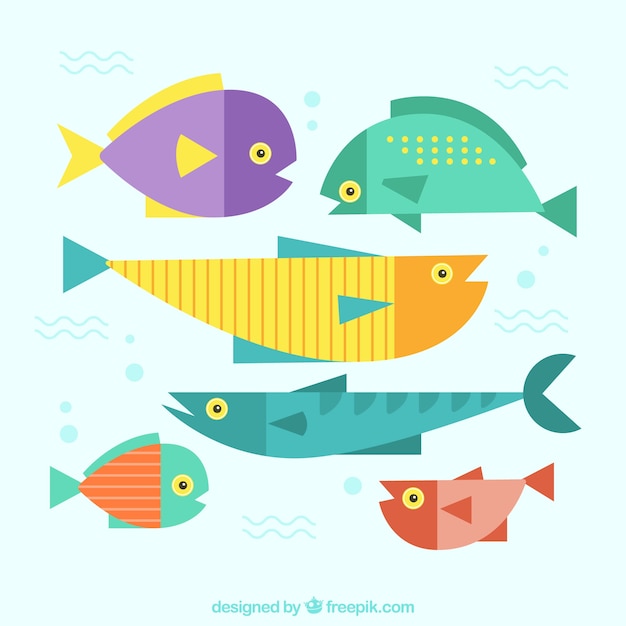 Бесплатное векторное изображение Набор красочных рыб в плоском стиле