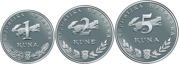 ポーランドのお金を1 2 5ズロチ硬貨にセット プレミアムベクター ポーランドのお金を1 2 5ズロチ硬貨にセット プレミアムベクター