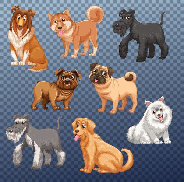 Бесплатное векторное изображение Набор разных собак изолированы