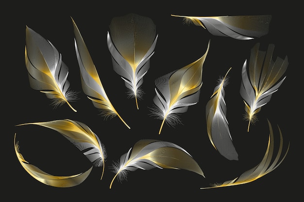 Набор различных падающих пушистых закрученных перьев на белом фоне