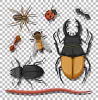 Бесплатное векторное изображение Набор различных насекомых на прозрачном фоне