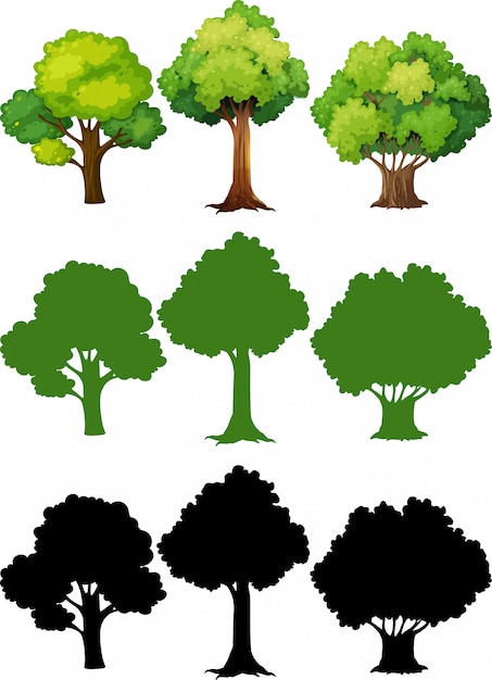 Бесплатное векторное изображение Набор разного дерева
