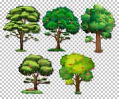 Бесплатное векторное изображение Набор разных деревьев на прозрачном фоне