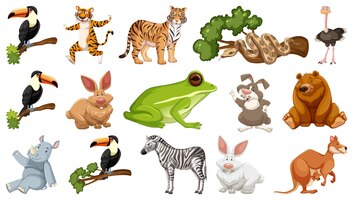 set of different wild animals cartoon characters