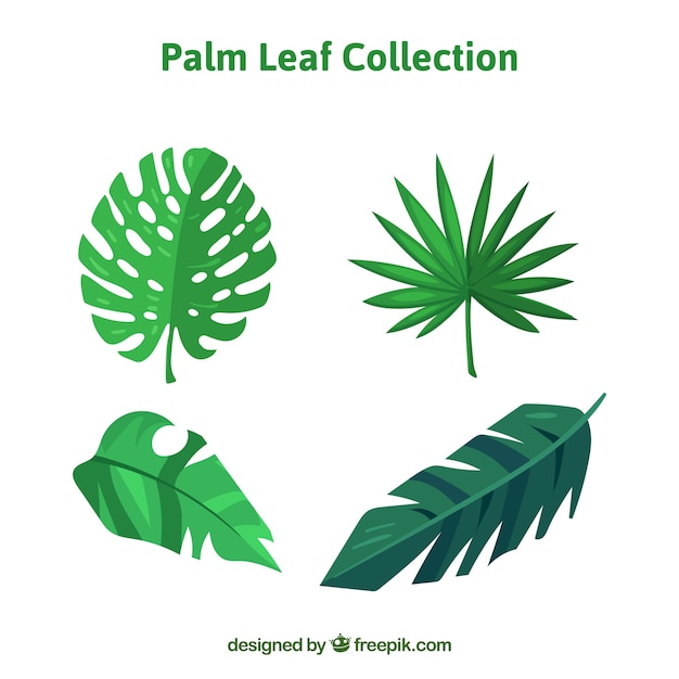 Набор плоских пальмовых листьев в зеленых тонах