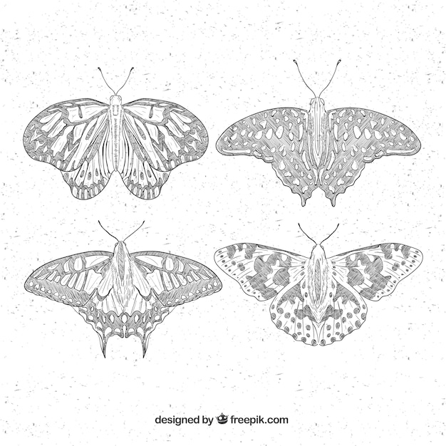 무료 벡터 4 개의 손으로 그린 나비 세트