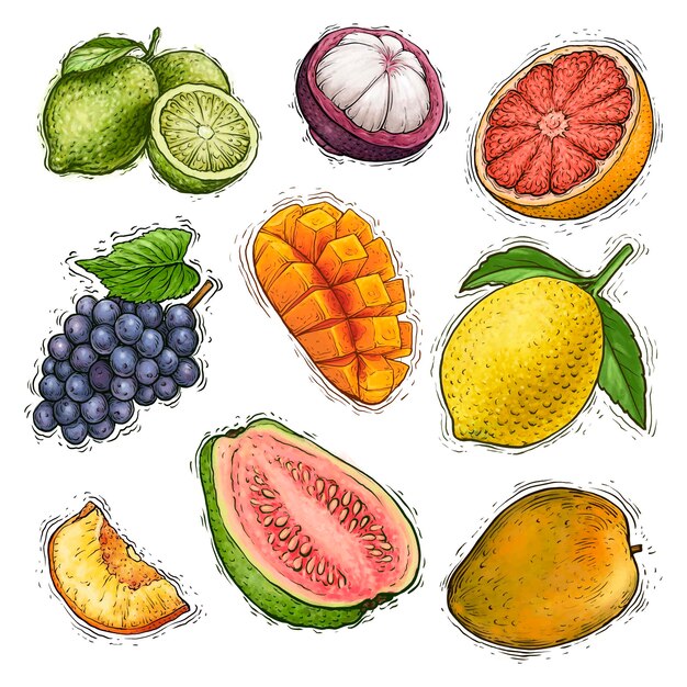果物の水彩画のイラスト 無料のベクター