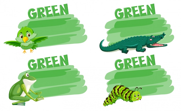 녹색 동물 개념의 집합