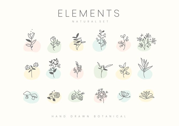 植物 画像 無料のベクター ストックフォト Psd