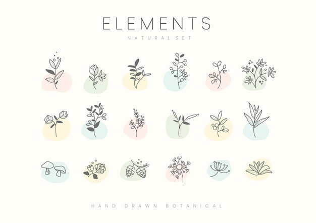 植物 画像 無料のベクター ストックフォト Psd