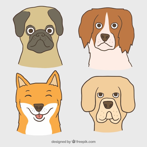 無料ベクター 手描きの犬のセット