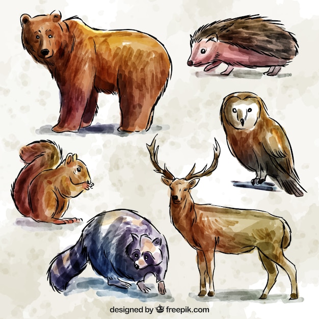 無料ベクター 手描きの水彩画の森の動物のセット