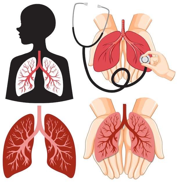 医療と健康の設計のための人間の肺のアイコンのセット