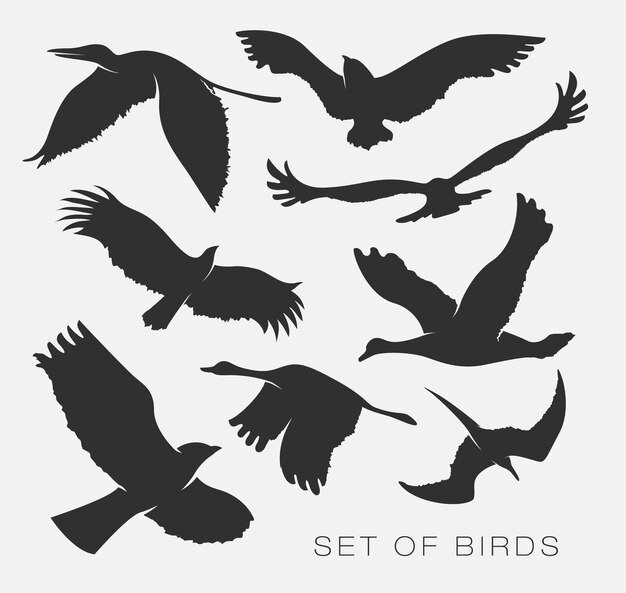 鳥シルエットイラスト プレミアムベクター