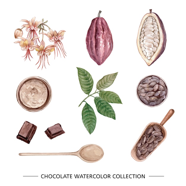 Бесплатное векторное изображение Набор изолированных акварельный шоколад
