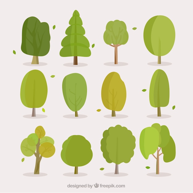 Бесплатное векторное изображение Набор листьев и листьев