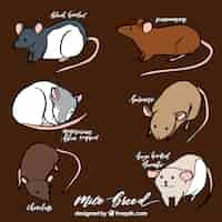 無料ベクター マウスの繁殖のセット