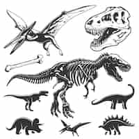 Бесплатное векторное изображение Набор монохромных динозавров. элементы археологии. череп и скелет ти-рекса. иконки динозавров.