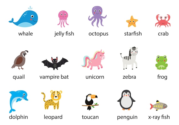 名前の付いた英語の動物のセット イラスト集です プレミアムベクター