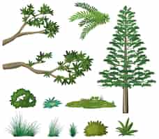 Бесплатное векторное изображение Набор природных лесных элементов