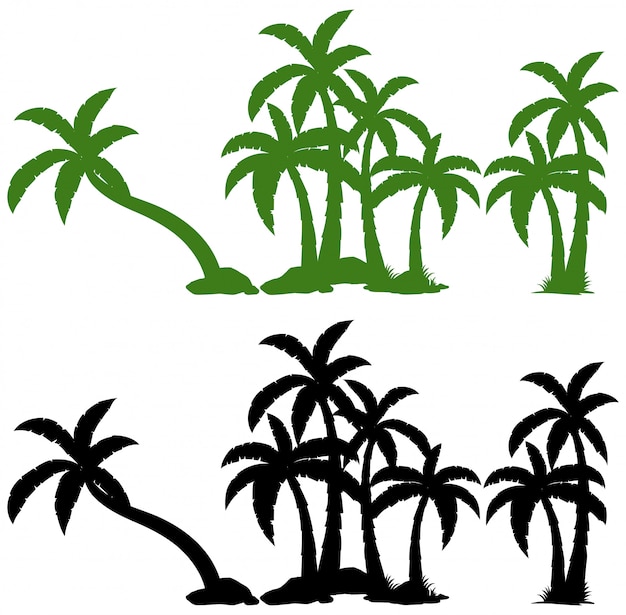 Бесплатное векторное изображение Набор из пальмы