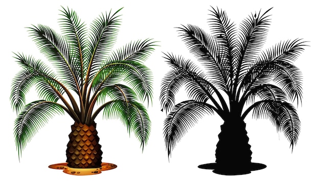 Бесплатное векторное изображение Набор пальмы