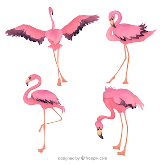 Набор розовых фламинго в стиле ручной работы