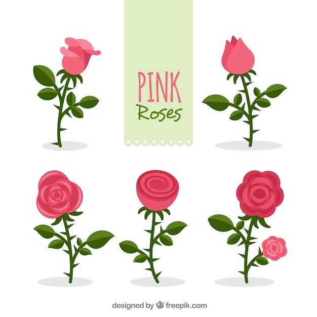 Бесплатное векторное изображение Комплект из розовых роз