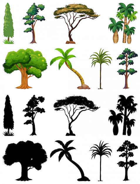 Бесплатное векторное изображение Набор растений и деревьев со своим силуэтом
