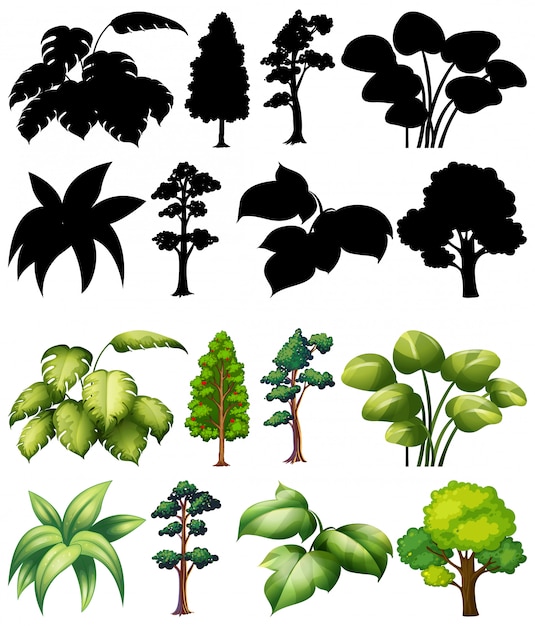Бесплатное векторное изображение Набор растений и деревьев со своим силуэтом