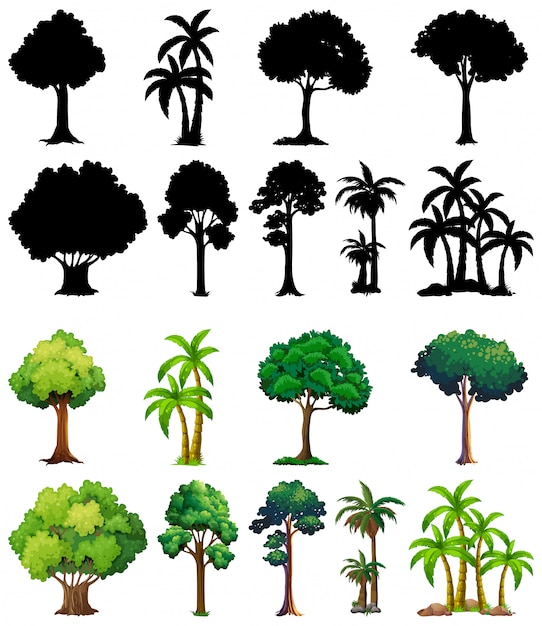 Набор растений и деревьев со своим силуэтом