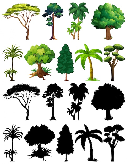 植物と木のシルエットのセット