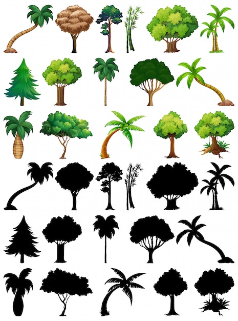 식물과 나무의 실루엣 세트