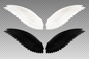 Набор реалистичных черно-белых пар крыльев на прозрачном, как символ добра и зла изолированы