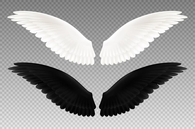 黒い翼 画像 無料のベクター ストックフォト Psd
