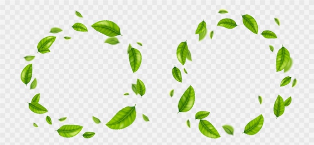 Бесплатное векторное изображение Набор круглых зеленых листьев рамки png