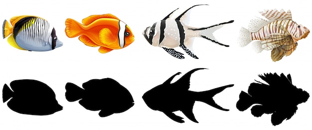 Бесплатное векторное изображение Набор морской рыбы