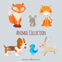 Бесплатное векторное изображение Набор из шести прекрасных животных