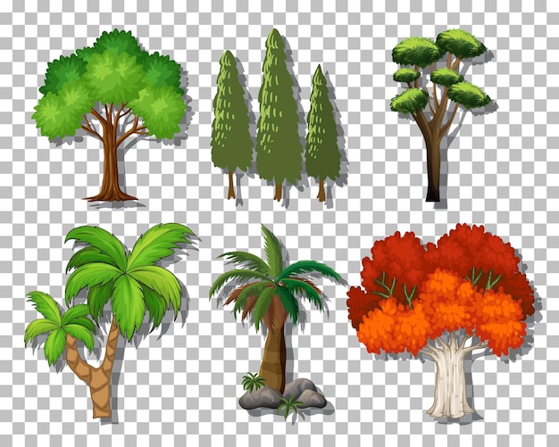 Бесплатное векторное изображение Набор разнообразных деревьев на прозрачном фоне