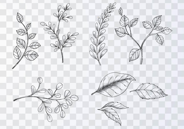 무료 벡터 투명 한 배경에 다양 한 손으로 그리는 스케치 잎 세트