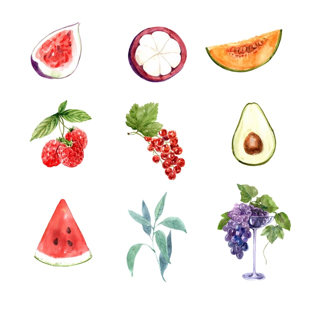 Бесплатное векторное изображение Набор различных изолированных акварельных фруктов