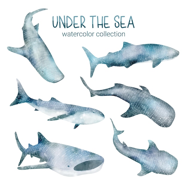 Бесплатное векторное изображение Набор акварельных милых животных и растений морская жизнь под морской векторной иллюстрацией