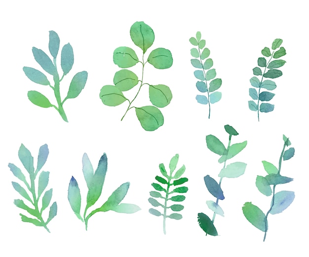 Бесплатное векторное изображение Набор акварельных листьев